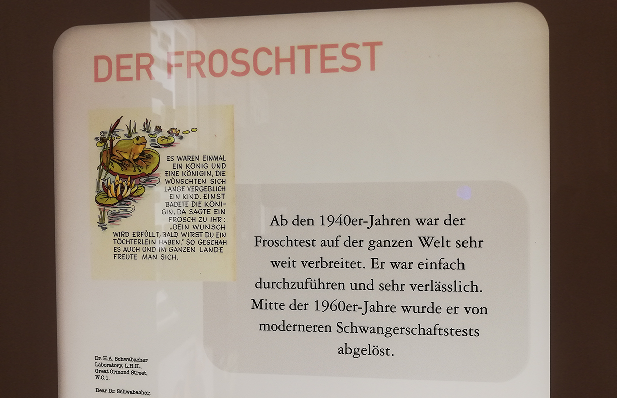 Schautafel im Museum "Der Froschtest"