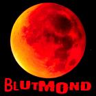 Totale Mondfinsternis - Blutmond - Brigitte Schafler - BHAK Korneuburg